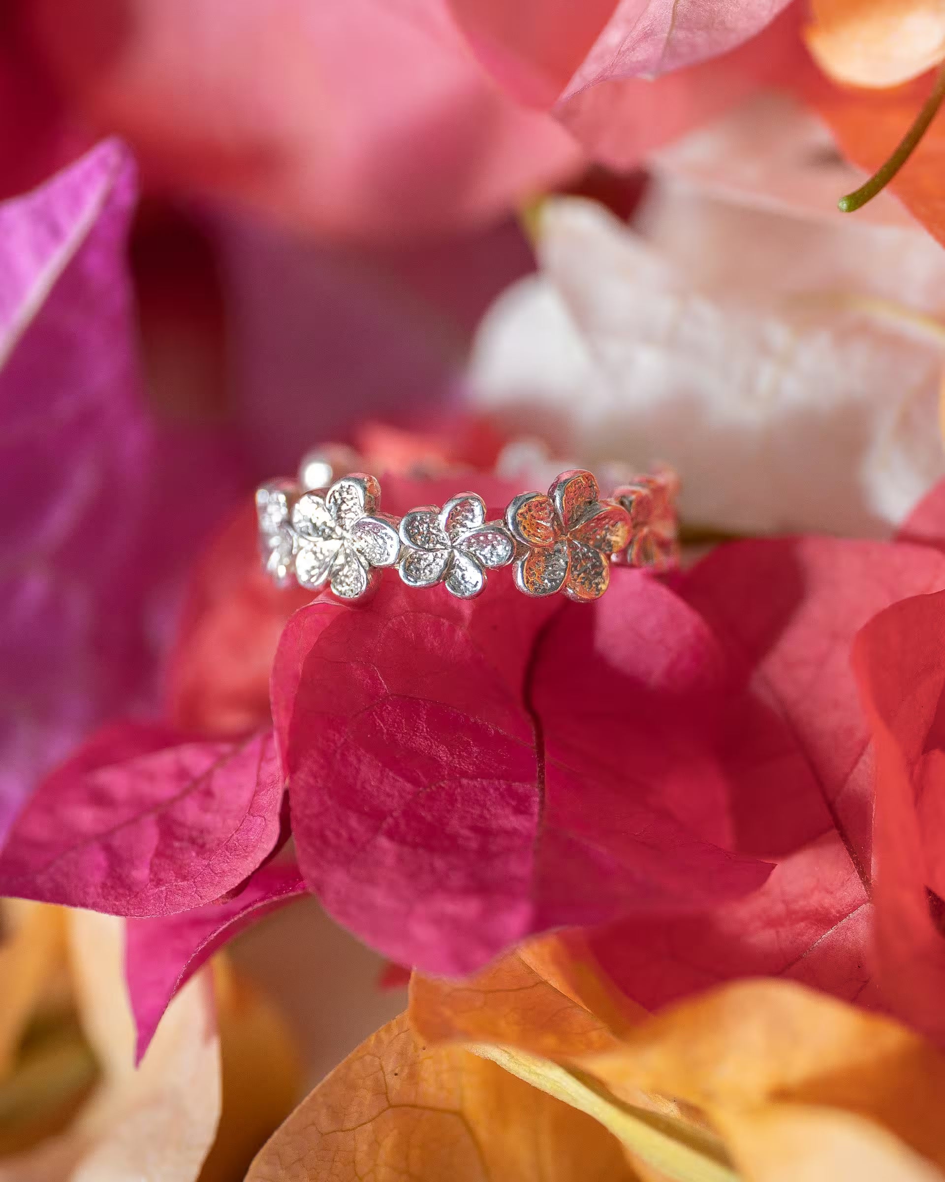 Produktfoto im tropisch-farbenfrohen Stil von dem auf Bali handgefertigten silbernen FRANGIPANI FLOWER RING aus aneinandergereihten, detailreichen Frangipani-Blüten aus 925er Silber von der Schmuckmarke ILUH, eingebettet in leuchtend pinke und orangefarbene Bougainvillea-Blüten.