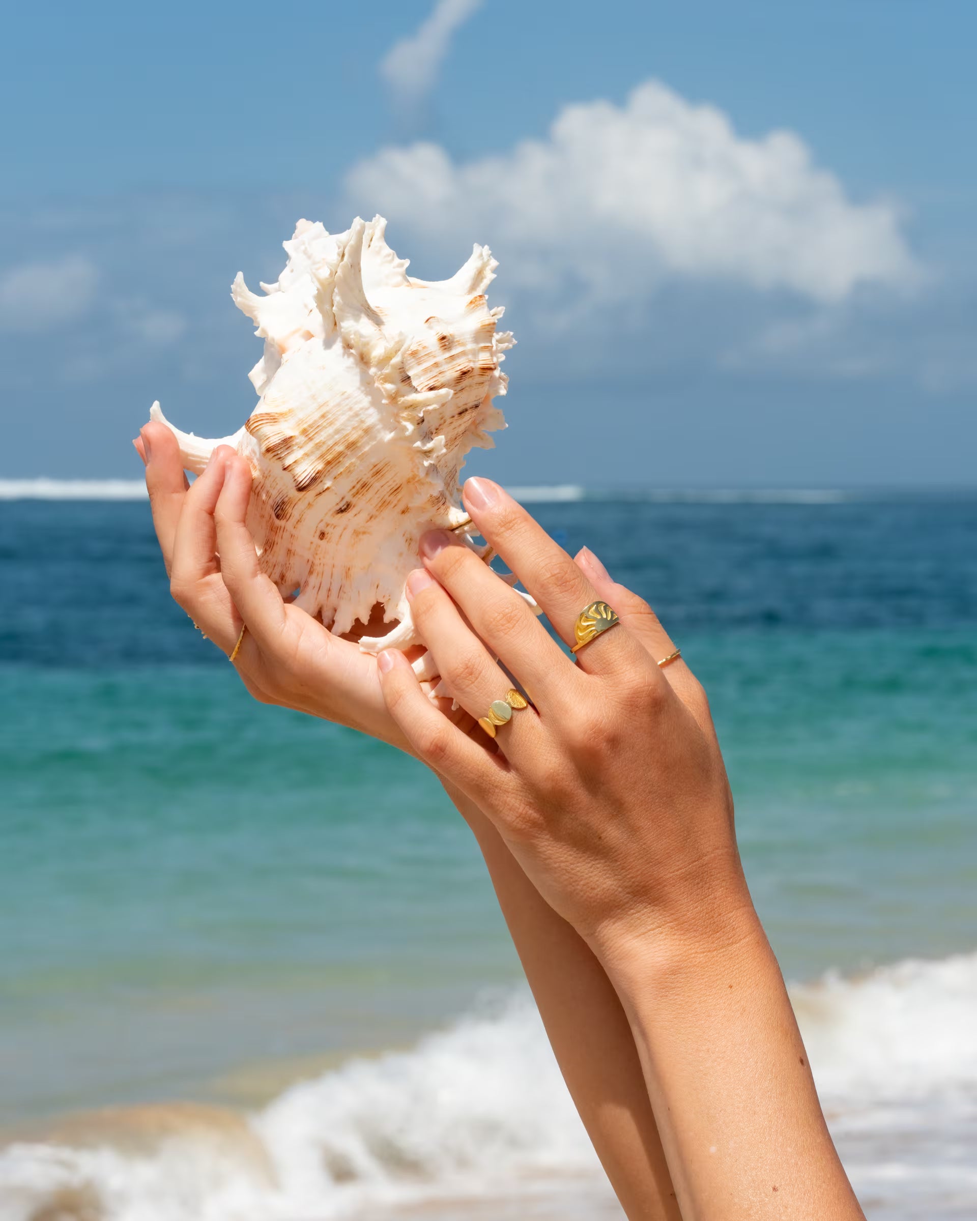 Stimmungsvolle Nahaufnahme im sommerlichen Beach-Look von zwei Händen vor dem türkisfarbenen Meer, die eine große, weiße Muschel emporhalten und eine Kombination aus auf Bali handgefertigtem goldenem Schmuck – darunter den offenen CHANDRA MOONPHASES Ring, den ARUNA SUNRISE Ring mit Sonnen-Motiv sowie den feinen, gehämmerten SARI STACKING RING auf dem Daumen – aus 18k vergoldetem 925er Silber von der Schmuckmarke ILUH tragen.