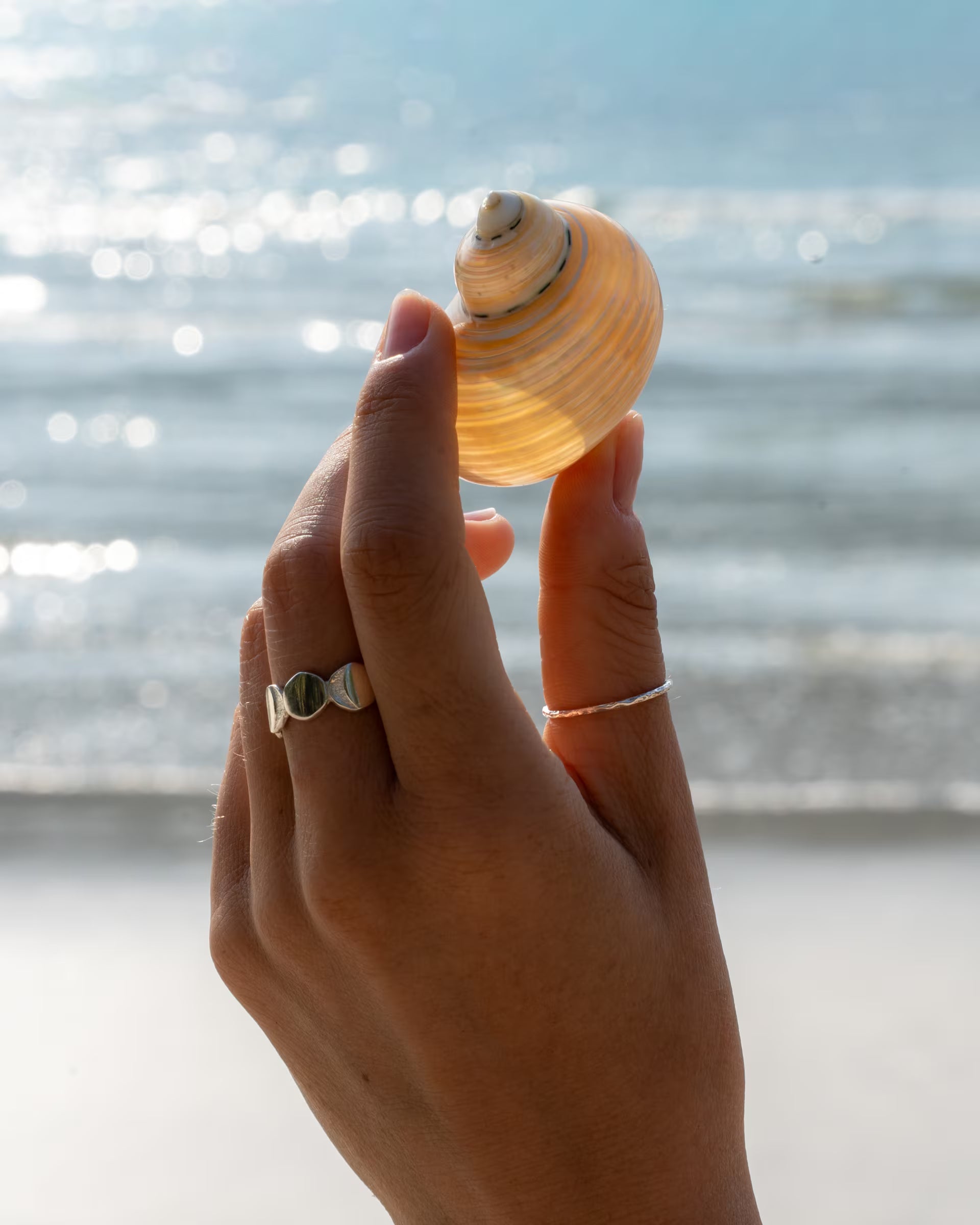 CHANDRA MOONPHASES RING SILBER, silberner Schmuck von ILUH, handgefertigt auf Bali – Stilvolle Nahaufnahme am sommerlichen Sandstrand von einer Hand, die eine kleine, schneckenförmige Muschel gegen das glitzernde Meerwasser hält und dabei den breiten, offenen Mondphasen-Ring und den zarten, gehämmerten SARI RING aus 925er Silber zeigt.
