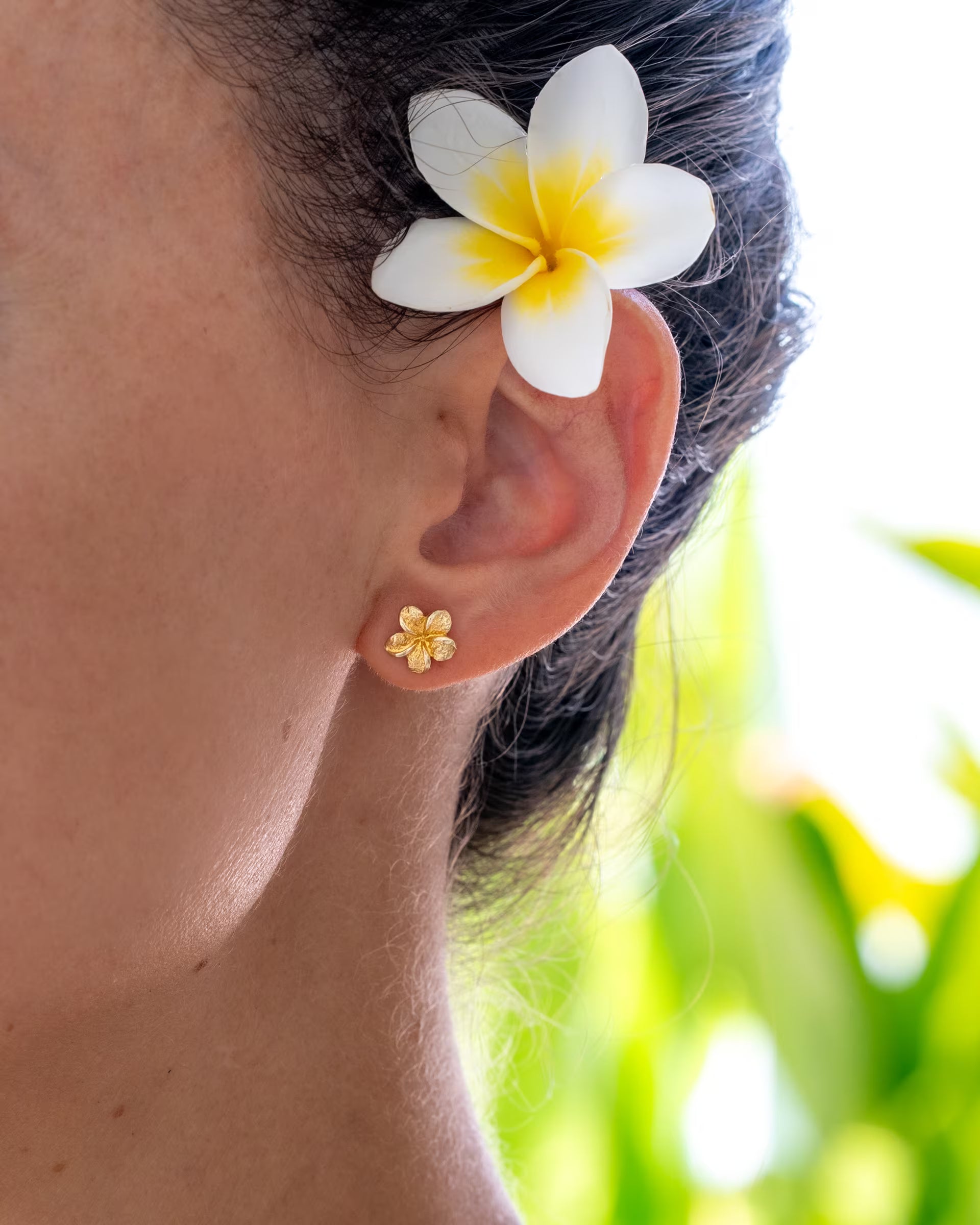 FRANGIPANI FLOWER OHRSTECKER, goldener Schmuck von der Marke ILUH, handgefertigt auf Bali – Detailreiche Nahaufnahme vom Ohr einer Frau mit einer echten, weiß-gelben Frangipani-Blüte im hochgesteckten Haar, die den kleinen, filigranen Blüten-Ohrstecker aus 18k vergoldetem 925er Silber vor einem hellen, tropischen Hintergrund zeigt.