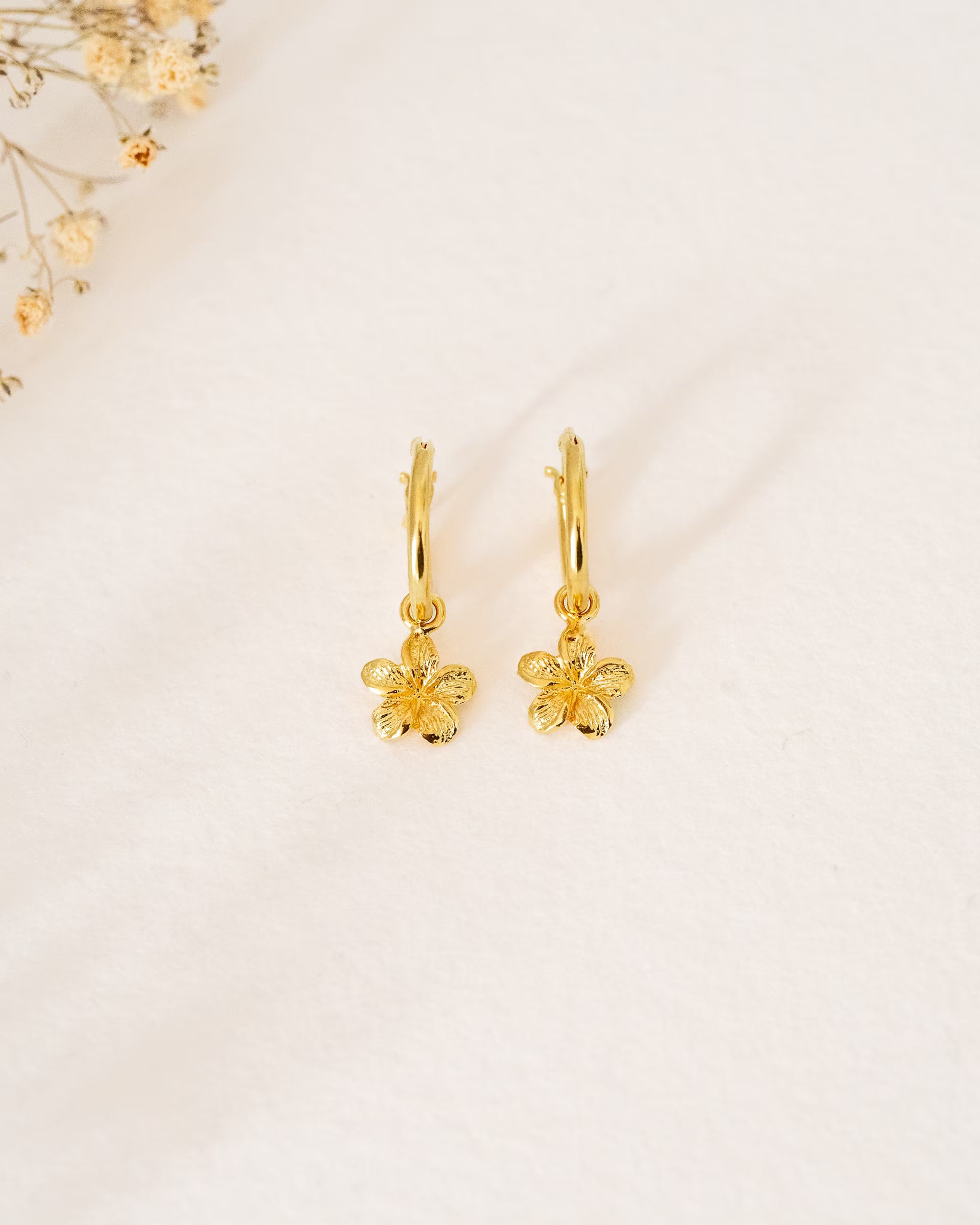 FRANGIPANI FLOWER OHRRINGE GOLD, kleine goldene Creolen-Ohrringe von ILUH, handgefertigt auf Bali – Elegantes Produktfoto im zarten Boho-Look von einem Paar filigraner Creolen aus 18k vergoldetem 925er Silber mit je einem kleinen, detailgetreu strukturierten Frangipani-Blütenanhänger, präsentiert vor einem weichgezeichneten Hintergrund aus Trockenblumen.
