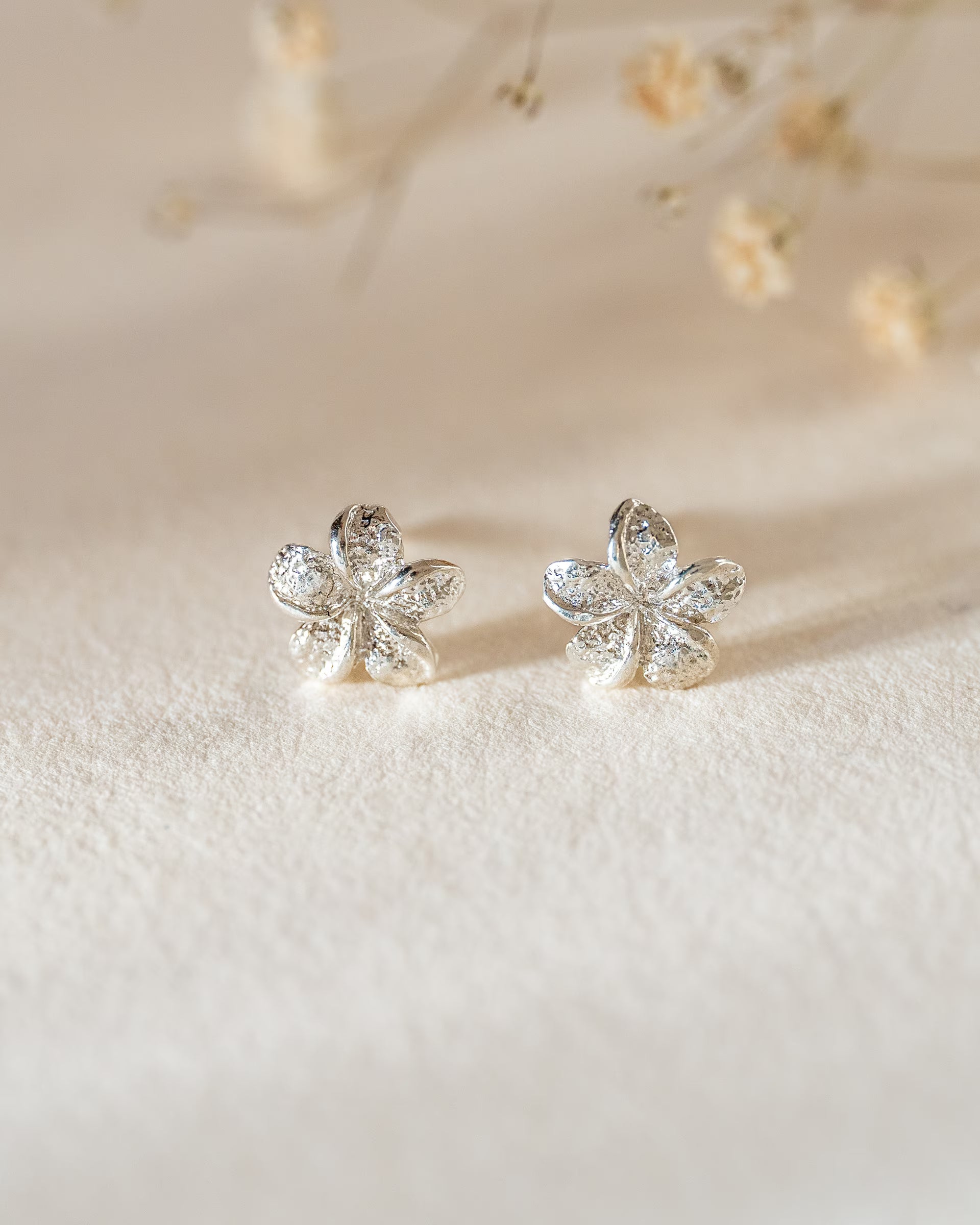 FRANGIPANI FLOWER OHRRINGE SILBER, kleine silberne Ohrstecker von ILUH, handgefertigt auf Bali – Elegantes Produktfoto im zarten Boho-Look von einem Paar kleiner, detailgetreu strukturierter Frangipani-Blütenohrstecker aus 925er Silber, präsentiert auf einem hellen Untergrund vor einem weichgezeichneten Hintergrund aus Trockenblumen.