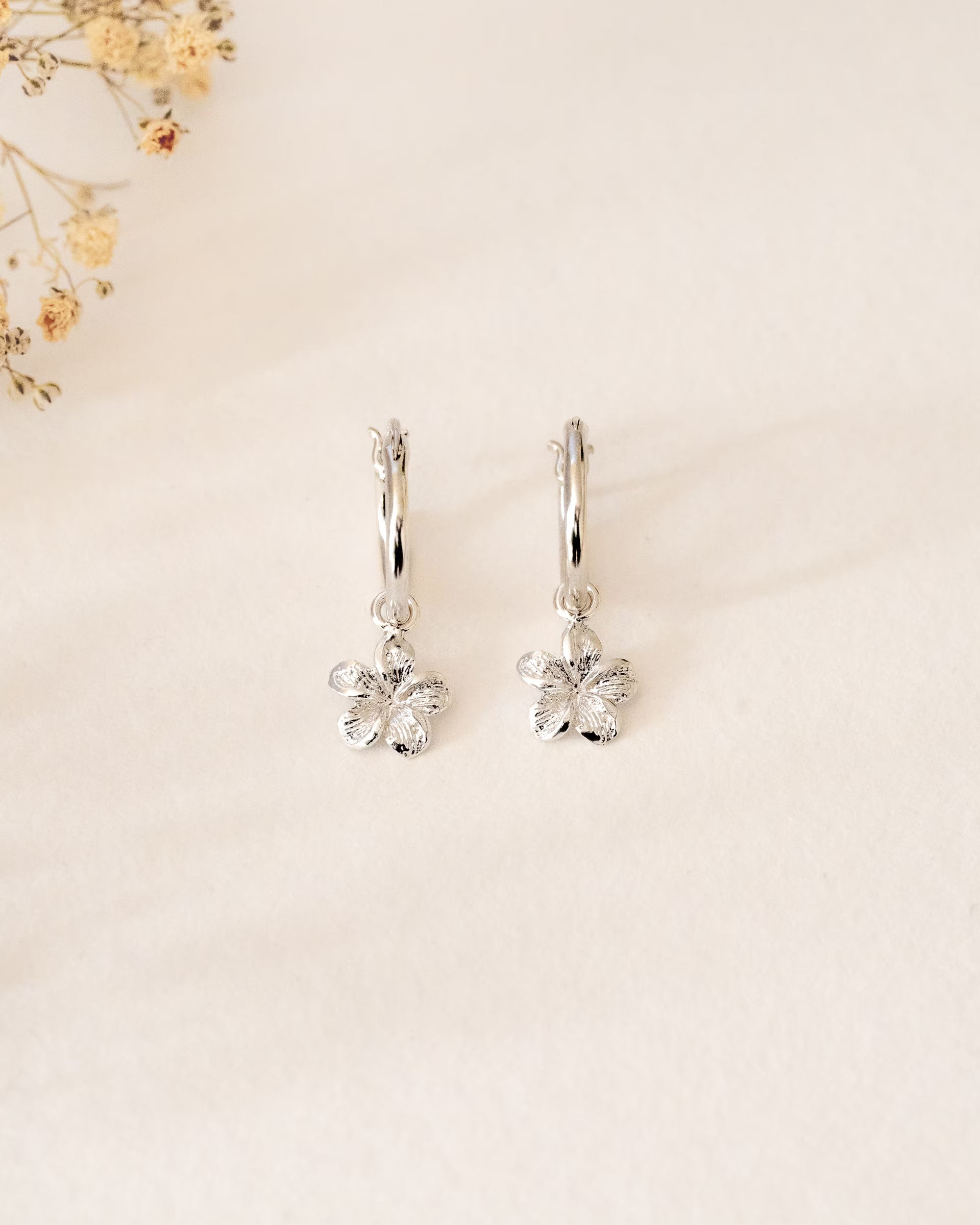 FRANGIPANI FLOWER OHRRINGE SILBER, kleine silberne Creolen-Ohrringe von ILUH, handgefertigt auf Bali – Elegantes Produktfoto im zarten Boho-Look von einem Paar filigraner Creolen aus 925er Silber mit je einem kleinen, detailgetreu strukturierten Frangipani-Blütenanhänger, präsentiert auf einem hellen Untergrund vor einem weichgezeichneten Hintergrund aus Trockenblumen.