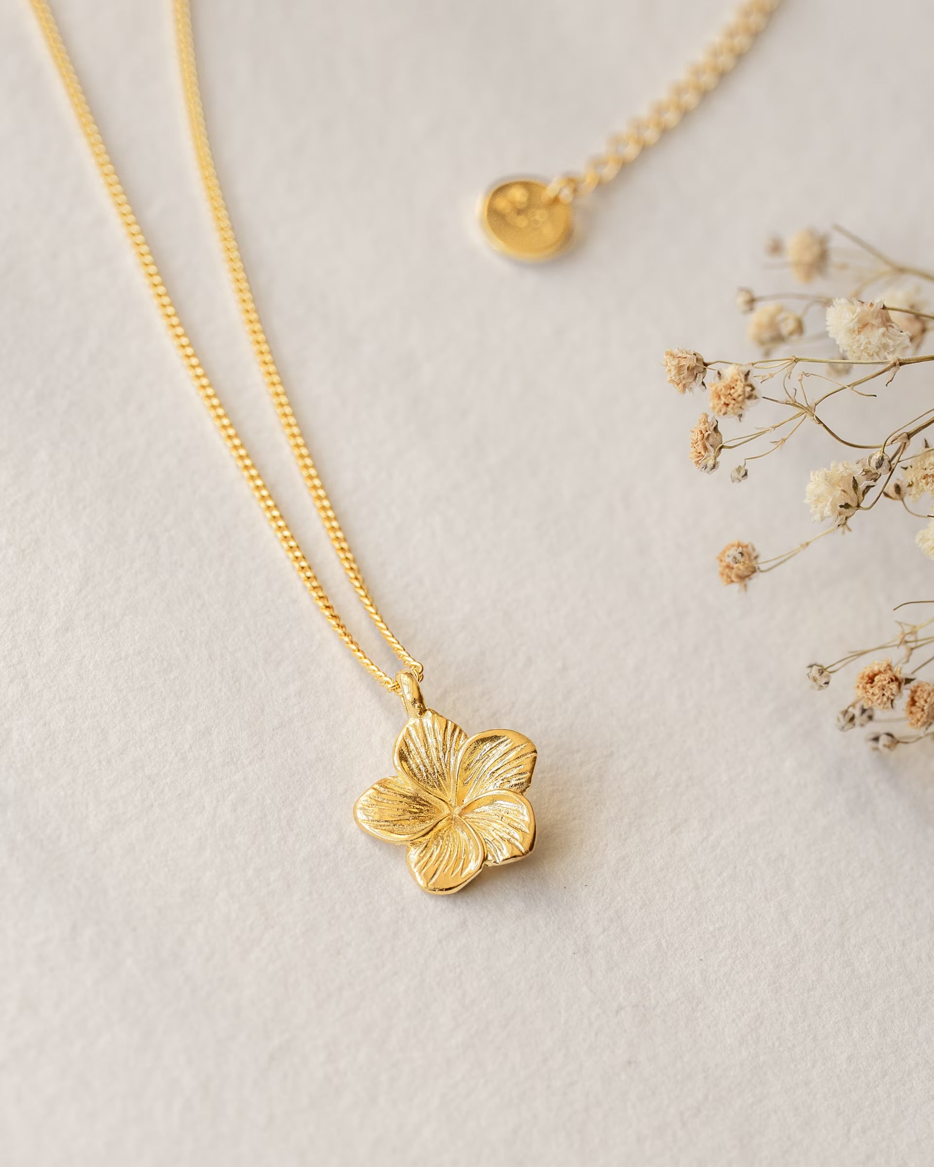FRANGIPANI FLOWER NECKLACE GOLD, goldene Halskette von ILUH, handgefertigt auf Bali – Elegantes Produktfoto im zarten Boho-Look von einer feinen Halskette aus 18k vergoldetem 925er Silber mit einem detailgetreu strukturierten Frangipani-Blütenanhänger, flach präsentiert auf einem hellen Untergrund neben feinen Trockenblumen.