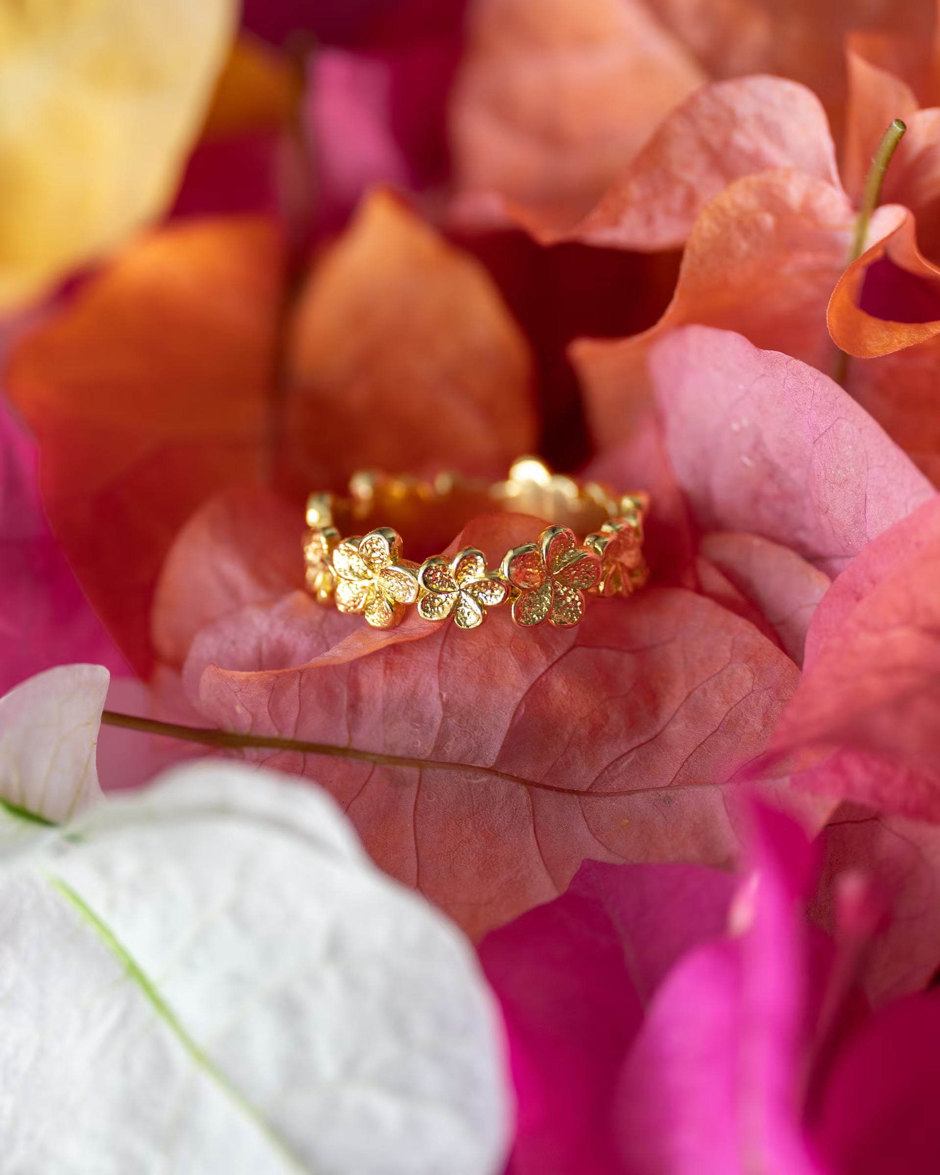 Produktfoto im tropisch-farbenfrohen Stil von dem auf Bali handgefertigten goldenen FRANGIPANI FLOWER RING aus aneinandergereihten, detailreichen Frangipani-Blüten aus 18k vergoldetem 925er Silber von der Schmuckmarke ILUH, eingebettet in leuchtend pinke, orangefarbene und weiße Bougainvillea-Blüten.