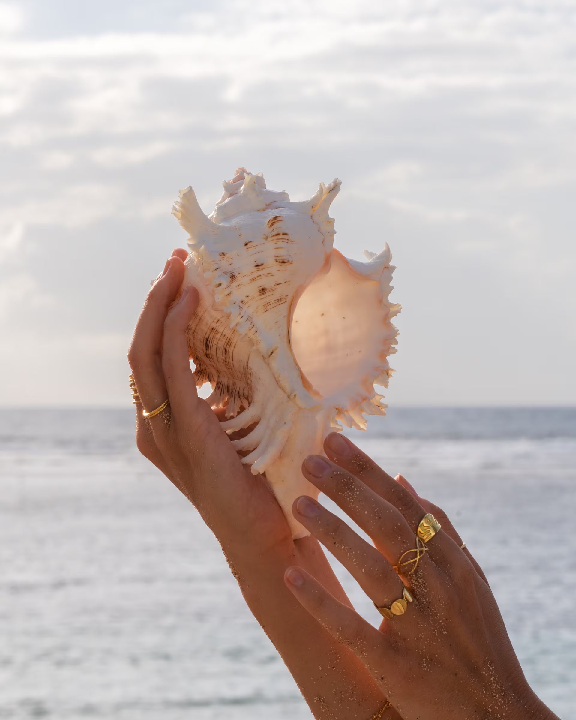 Stimmungsvolle Nahaufnahme im sommerlichen Beach-Look von zwei Händen vor dem weiten Meer, die eine große, weiße Muschel sanft von der Seite halten und eine Kombination aus auf Bali handgefertigtem goldenem Schmuck – darunter den ARUNA SUNRISE Ring mit Sonnen-Motiv, den geschwungenen LOTUS RING sowie den feinen, gehämmerten SARI STACKING RING auf dem Daumen – aus 18k vergoldetem 925er Silber von der Schmuckmarke ILUH tragen.