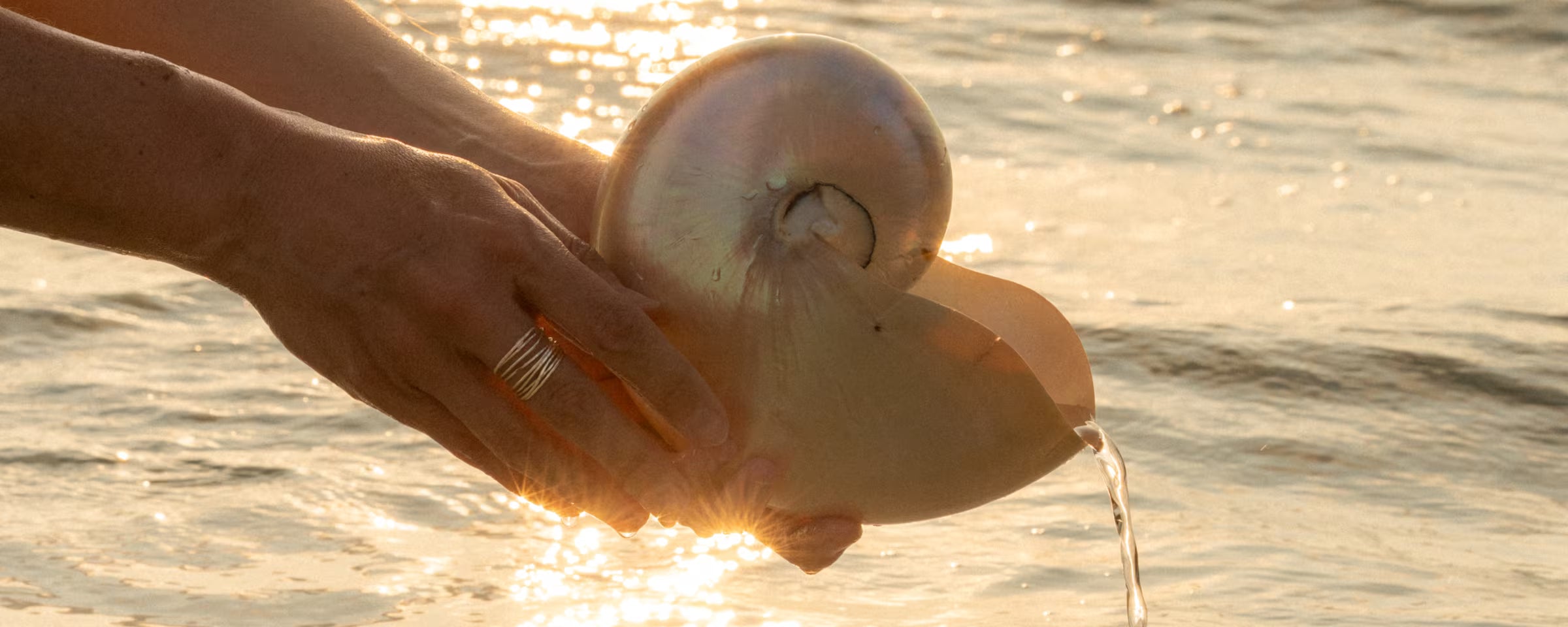 Stimmungsvolle Nahaufnahme: Hände halten eine schimmernde Nautilus-Muschel in seichtem, im Sonnenuntergang golden glitzerndem Wasser. Die Szene, getaucht in warme Gold- und Sandtöne, betont die spirituelle Ästhetik und die filigrane Eleganz des ILUH-Schmucks, der fair in Bali aus nachhaltigen Materialien gefertigt wird.